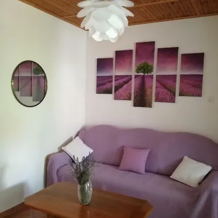 Lavanda Пунат